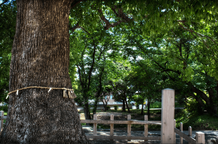 เทพารักษ์